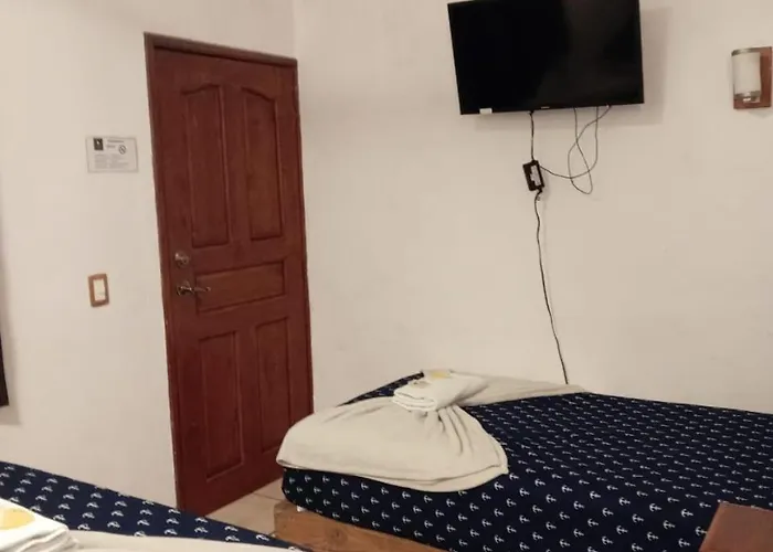 Colonos Cabos Hotel 3*
